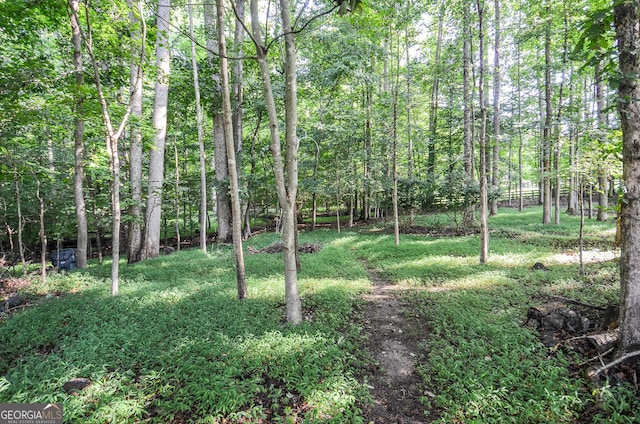 128 Laurel Ridge Dr, Alpharetta, GA 30004 - view of green lawn with a wooded view