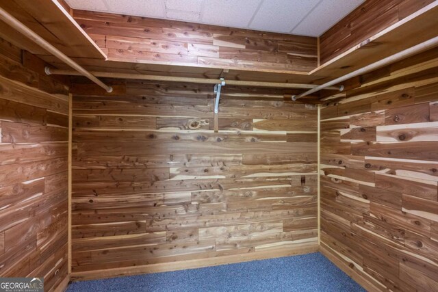 1908 Musket Ct, Stone Mountain, GA 30087 - spacious closet with carpet flooring