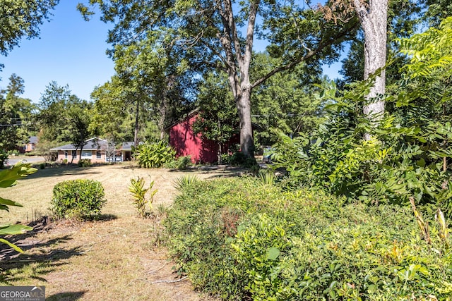 67 Main St, Lumpkin, GA 31815 - view of yard