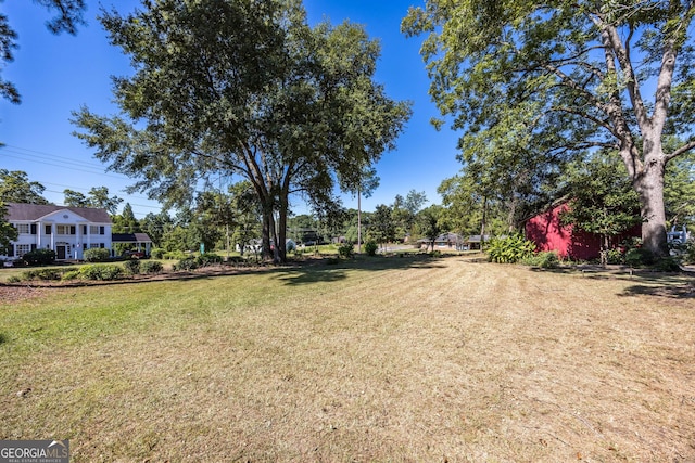 67 Main St, Lumpkin, GA 31815 - view of green lawn