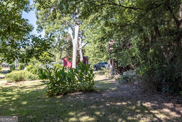 67 Main St, Lumpkin, GA 31815 - view of green lawn