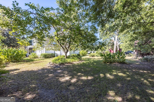 67 Main St, Lumpkin, GA 31815 - view of green lawn