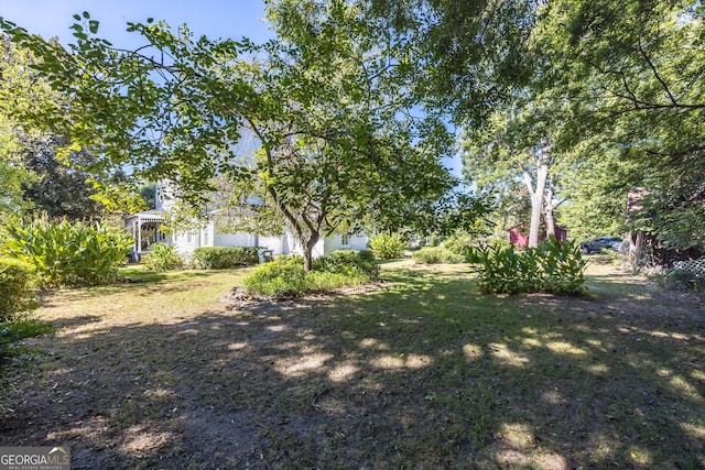 67 Main St, Lumpkin, GA 31815 - view of grassy yard