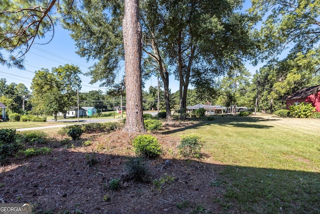 67 Main St, Lumpkin, GA 31815 - view of grassy yard