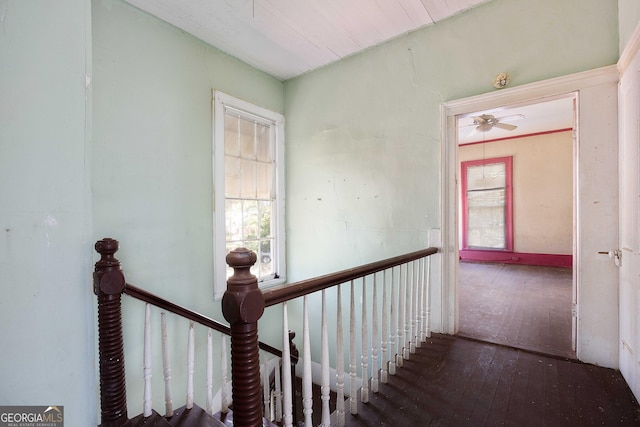 67 Main St, Lumpkin, GA 31815 - stairway with hardwood / wood-style floors