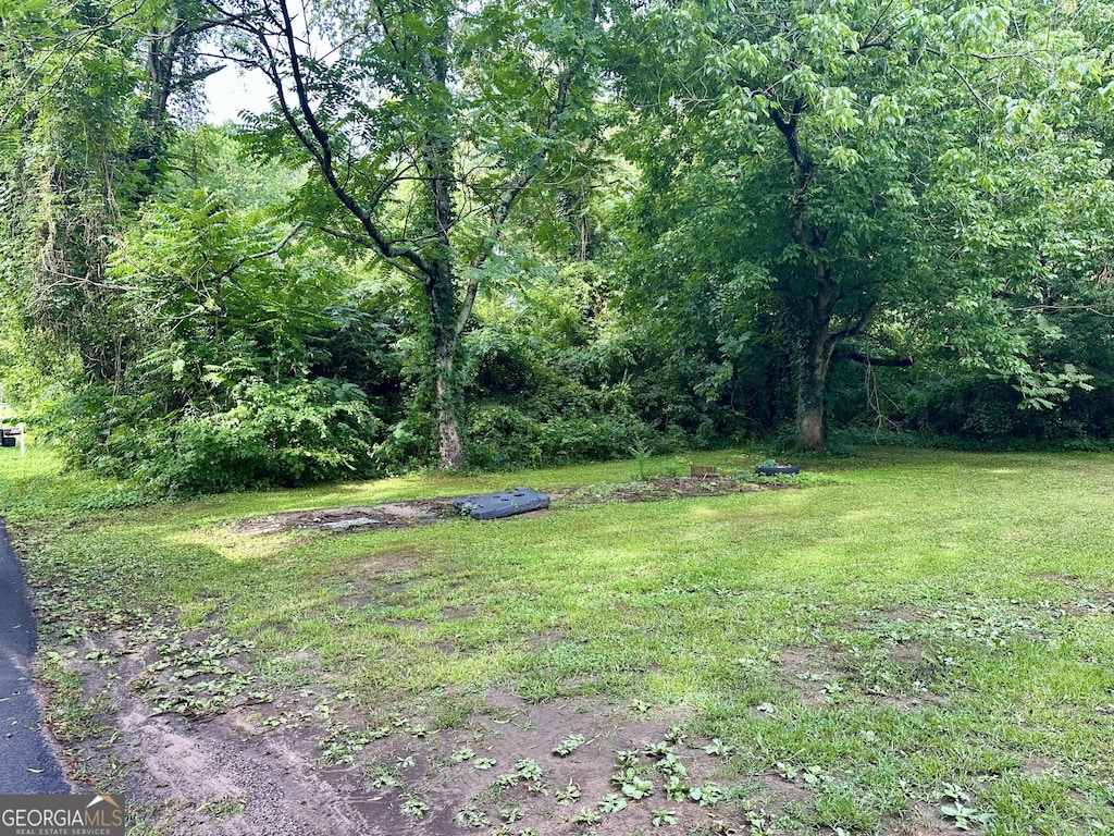 121 Lewis St, Summerville, GA 30747