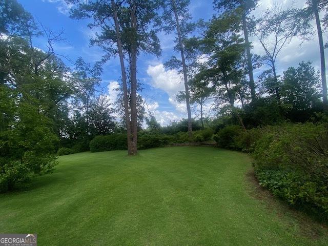 1812 Morgan Cantey Dr, Lanett, AL 36863 - view of green lawn