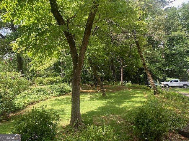 1812 Morgan Cantey Dr, Lanett, AL 36863 - view of green lawn with a forest view