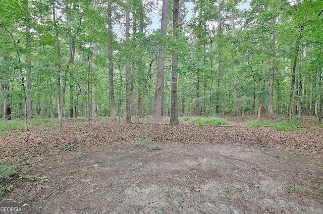 210 Grandchester Way, Fayetteville, GA 30215 - view of tree filled area