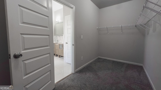 3368 Alhambra Cir, Hampton, GA 30228 - spacious closet with carpet