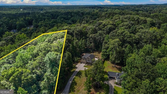 255 Hamilton Dr, Newnan, GA 30263 - aerial view of property's location with a forest and property boundaries highlighted
