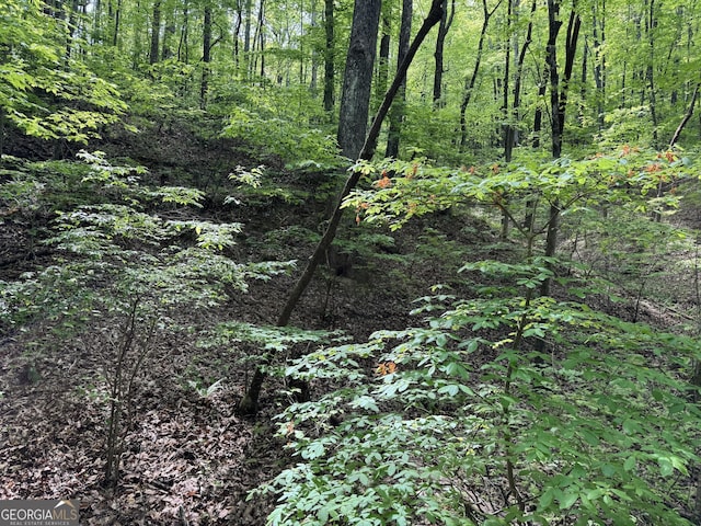 0 Lost Forest Rd, Ellijay, GA 30536