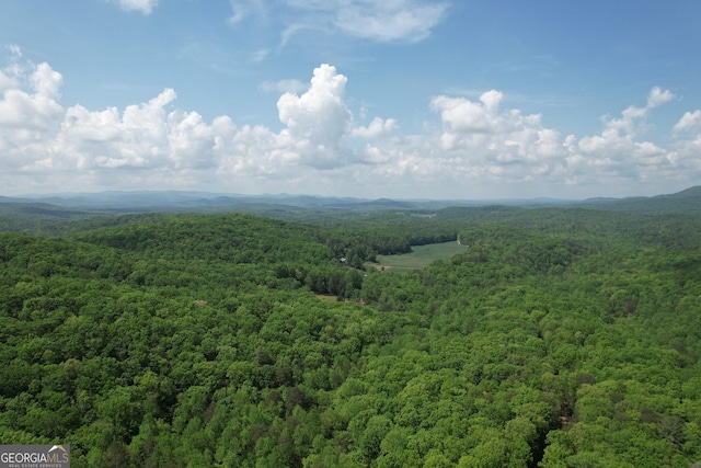 0 Lost Forest Rd, Ellijay, GA 30536