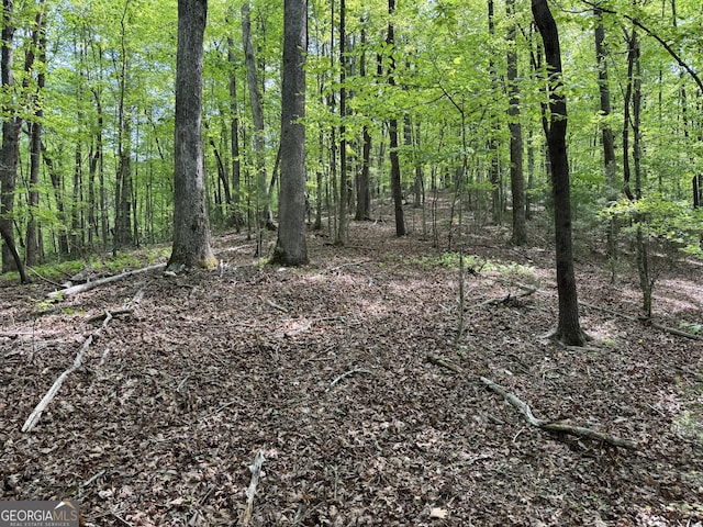0 Lost Forest Rd, Ellijay, GA 30536