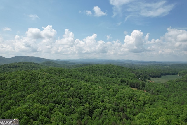 0 Lost Forest Rd, Ellijay, GA 30536