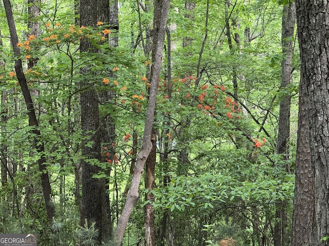 0 Lost Forest Rd, Ellijay, GA 30536