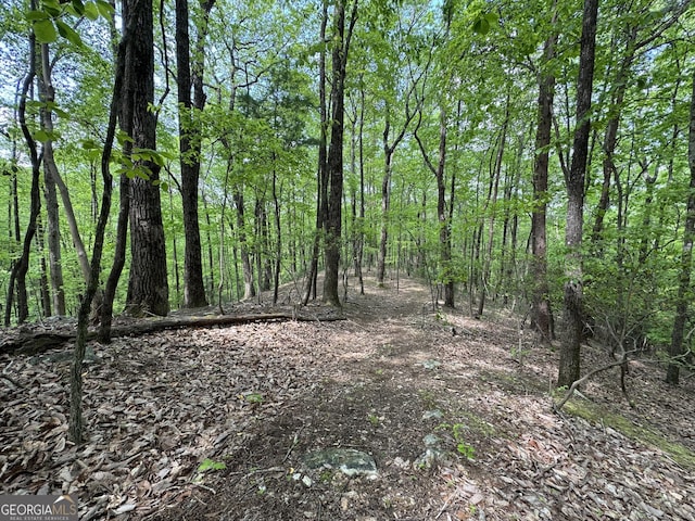 0 Lost Forest Rd, Ellijay, GA 30536