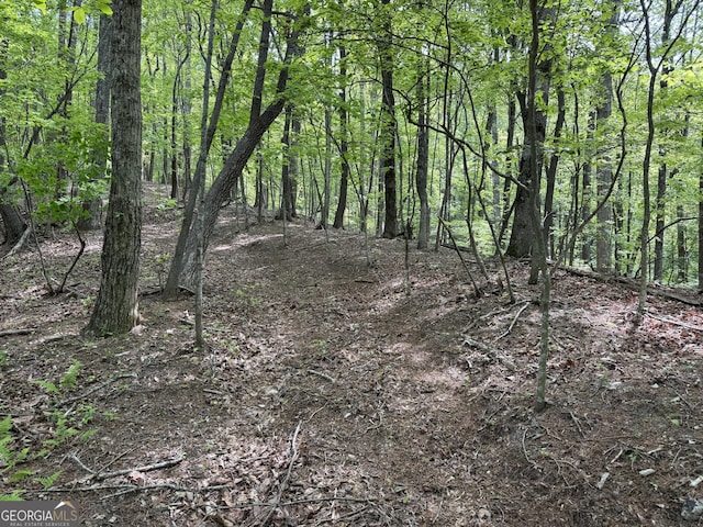 0 Lost Forest Rd, Ellijay, GA 30536