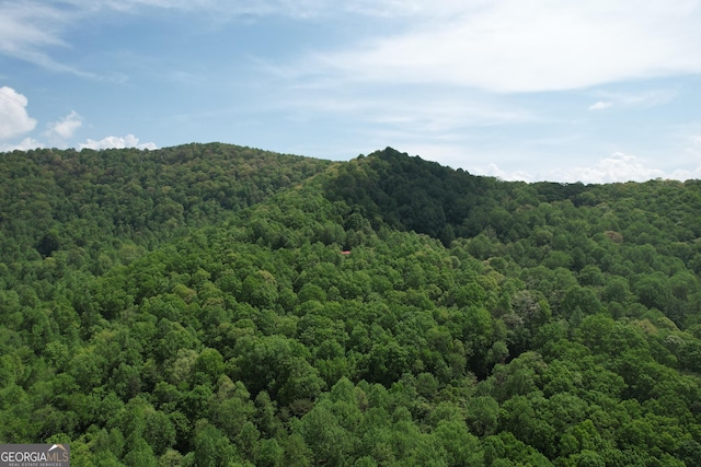 0 Lost Forest Rd, Ellijay, GA 30536