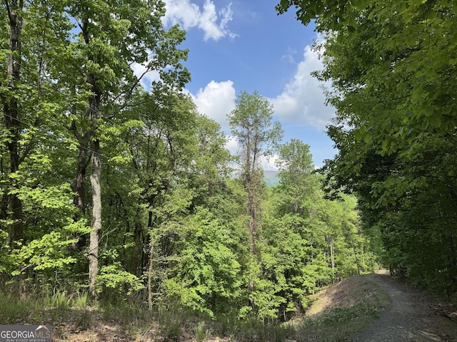 0 Lost Forest Rd, Ellijay, GA 30536