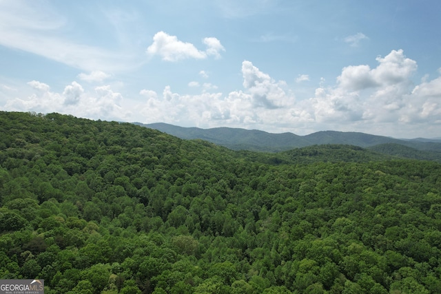 0 Lost Forest Rd, Ellijay, GA 30536