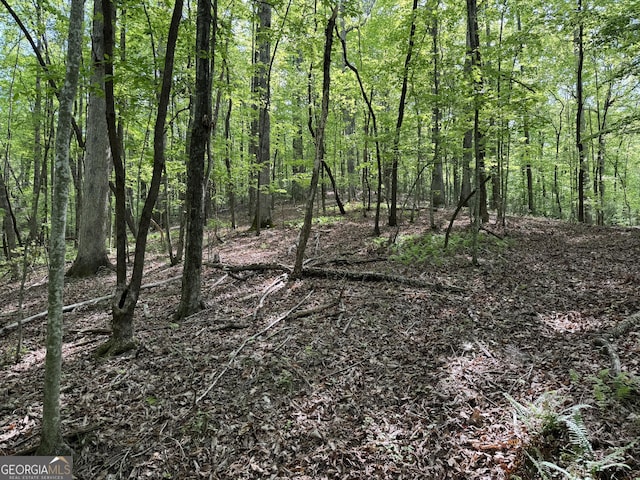0 Lost Forest Rd, Ellijay, GA 30536