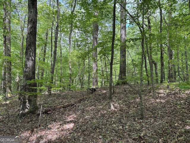 0 Lost Forest Rd, Ellijay, GA 30536