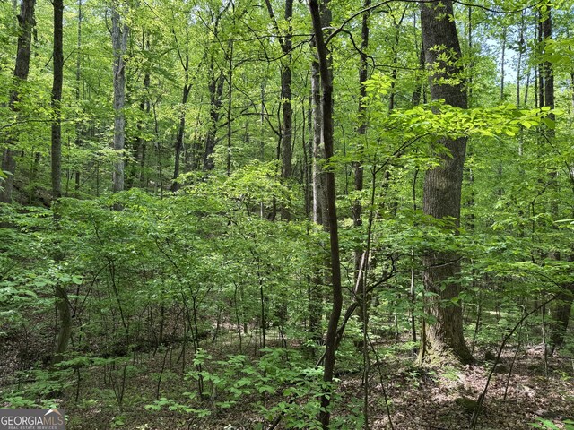 0 Lost Forest Rd, Ellijay, GA 30536