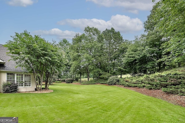 1000 Collingtree Ct, Mcdonough, GA 30253 - view of green lawn
