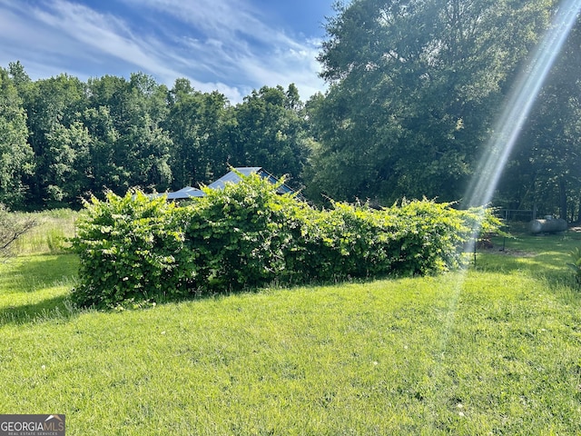 4494 Anderson Hwy, Hartwell, GA 30643 - view of green lawn