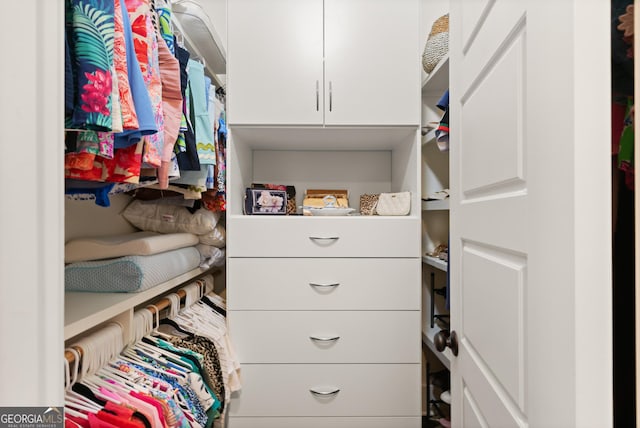 31 Frederica Oaks Ln, Saint Simons, GA 31522 - view of spacious closet