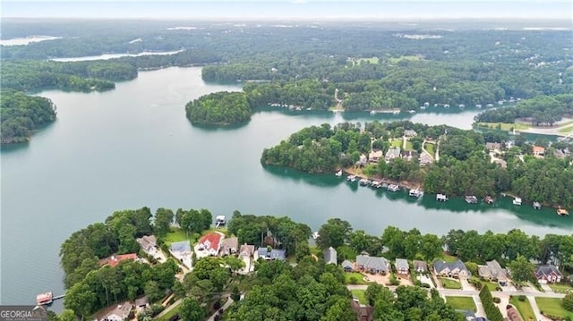6381 Lakeview Dr, Buford, GA 30518 - view of property location featuring a large body of water