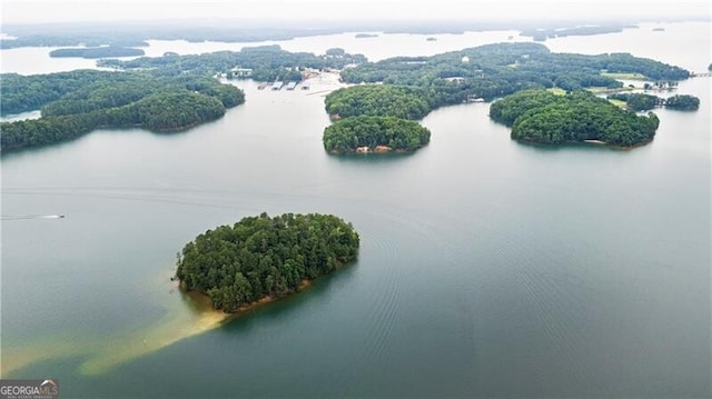 6381 Lakeview Dr, Buford, GA 30518 - bird's eye view of a large body of water