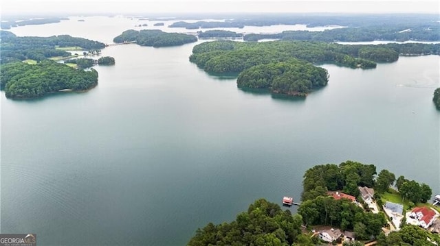 6381 Lakeview Dr, Buford, GA 30518 - drone / aerial view of a large body of water