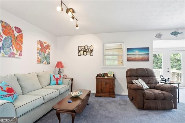 6381 Lakeview Dr, Buford, GA 30518 - carpeted living room featuring french doors and baseboards