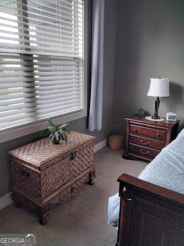 211 Barnyard Way, Perry, GA 31069 - carpeted bedroom with multiple windows