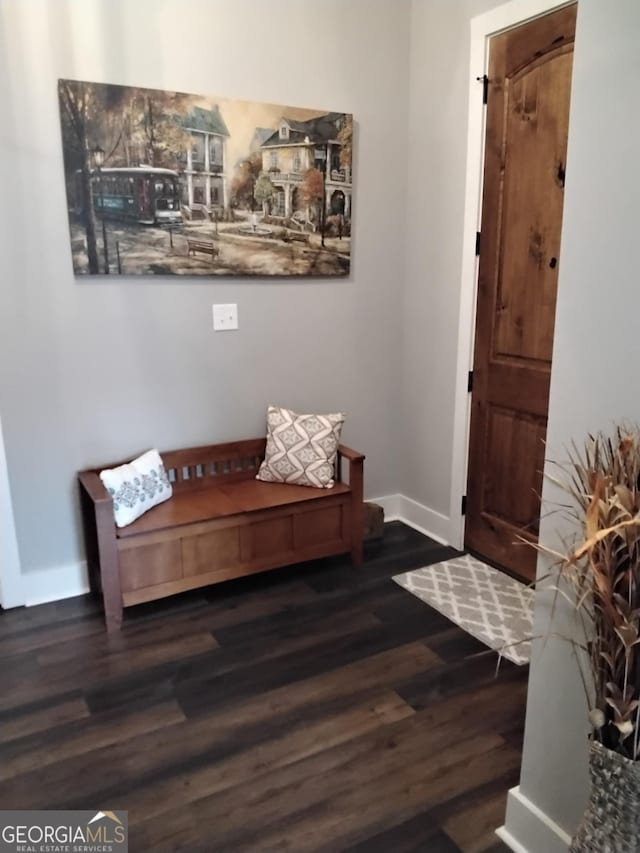 211 Barnyard Way, Perry, GA 31069 - foyer featuring wood finished floors and baseboards