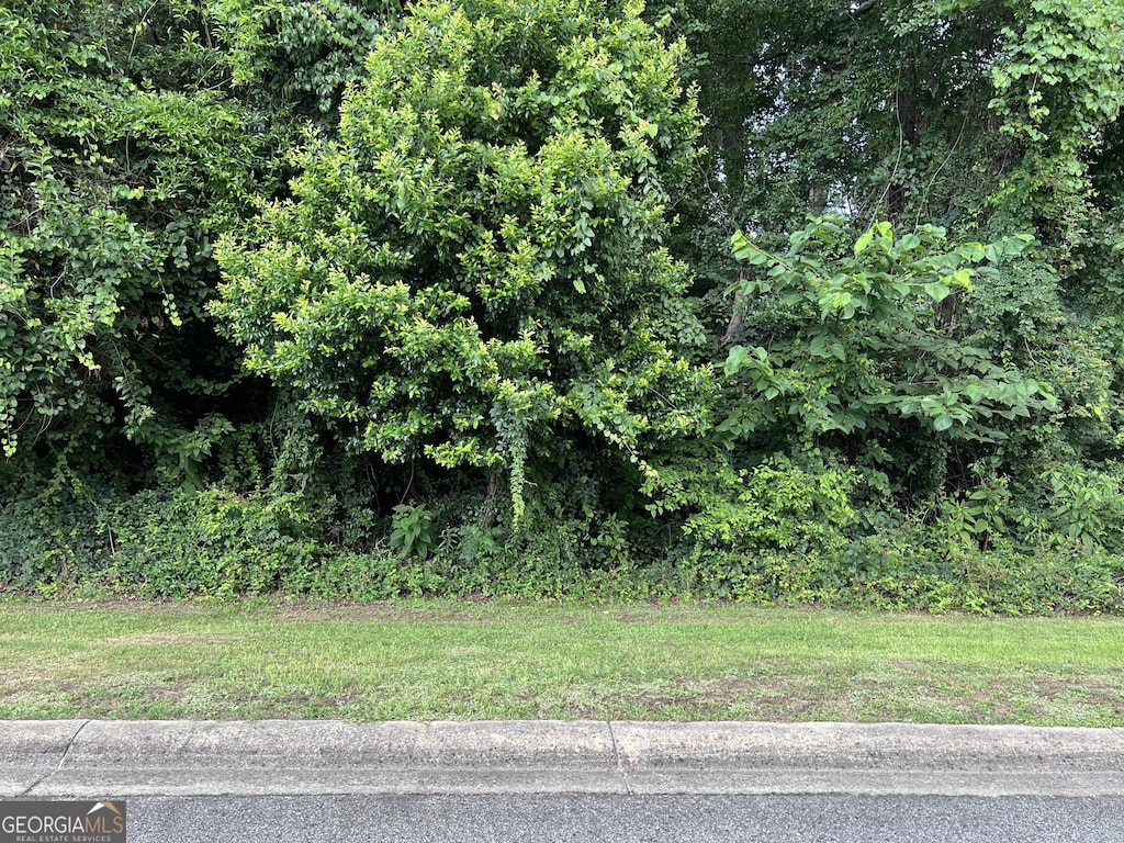 0 Sandra Dr, Georgetown, GA 39854