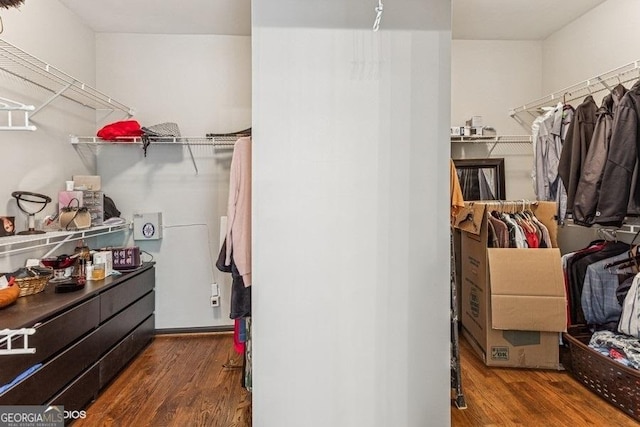 3835 Hickory Branch Trl, Suwanee, GA 30024 - walk in closet with wood finished floors