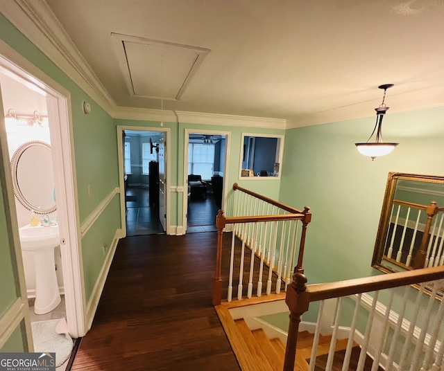 2481 Islands Hwy, Midway, GA 31320 - hall featuring attic access, an upstairs landing, dark wood-style floors, and ornamental molding