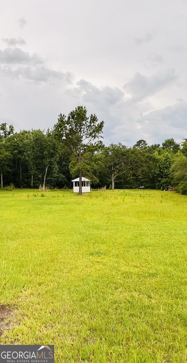 2481 Islands Hwy, Midway, GA 31320 - view of grassy yard with a view of rural / pastoral area and a forest view