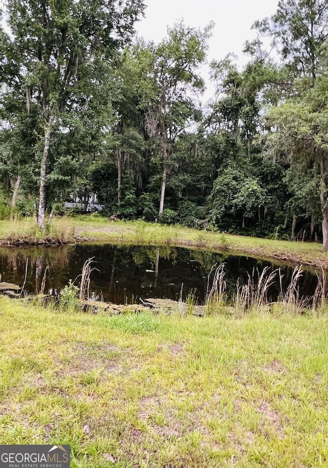2481 Islands Hwy, Midway, GA 31320 - view of nature featuring a nearby body of water