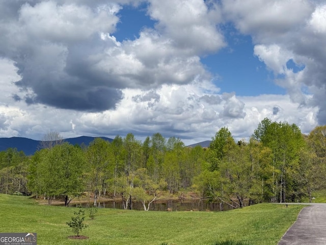 40 Pond Path, Ellijay, GA 30536 - view of home's community featuring a yard and a mountain view