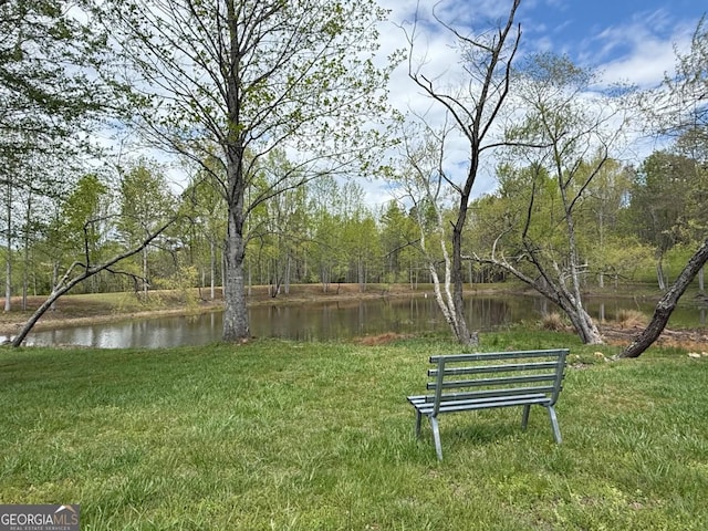 40 Pond Path, Ellijay, GA 30536 - surrounding community featuring a yard and a water view