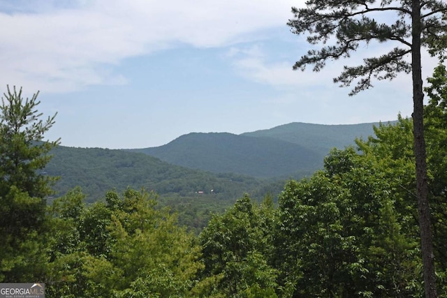 73 Rosiey Ln Unit 356, Blue Ridge, GA 30513 - view of mountain background with a heavily wooded area