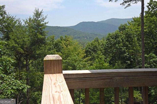 73 Rosiey Ln Unit 356, Blue Ridge, GA 30513 - mountain view