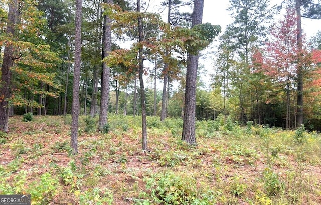 1805 County Road 103, Mentone, AL 35984