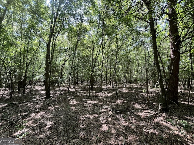 0 Wildcat Bridge Rd, Royston, GA 30662