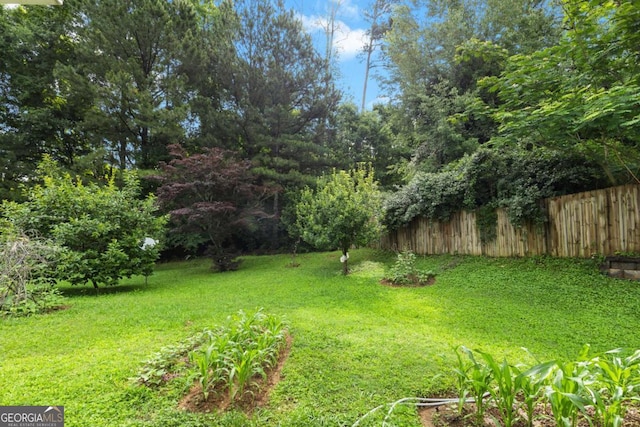 580 Lilburn School Rd, Lilburn, GA 30047 - view of yard