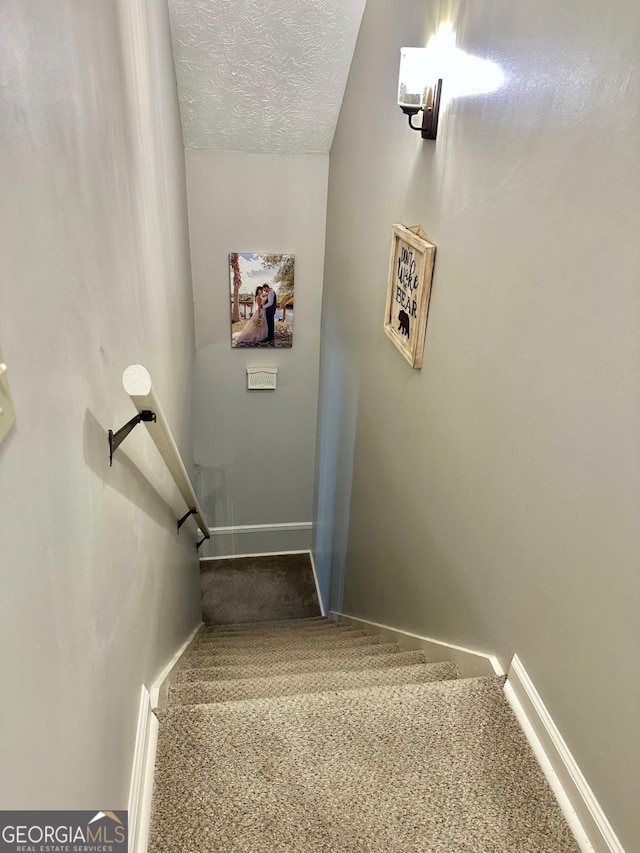 317 Running Deer Rd, Cleveland, GA 30528 - stairway featuring carpet floors and a textured ceiling